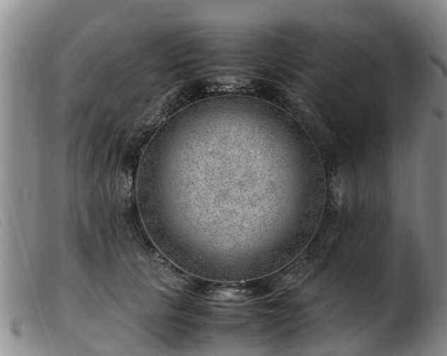 X0000103410657200809191546