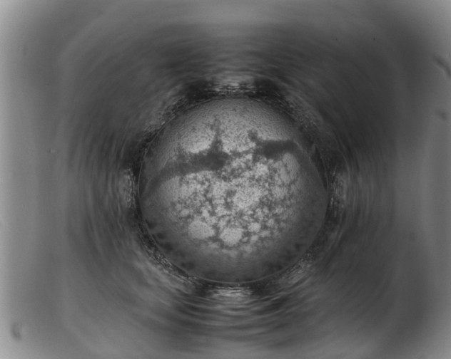 X0000103410659200809191546