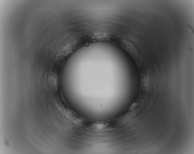 X0000103410662200809191546