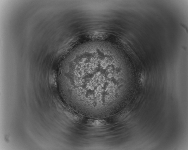 X0000103410663200809191546