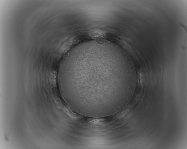 X0000103410664200809191546