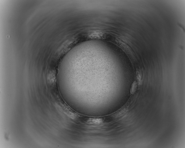 X0000103410665200809191546