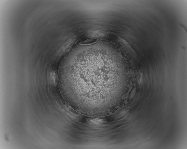 X0000103410669200809191547