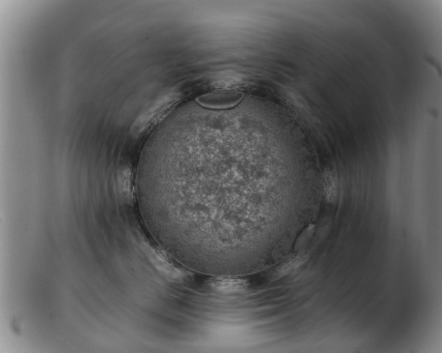 X0000103410670200809191547