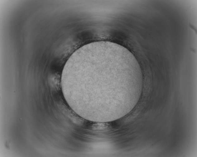 X0000103410672200809191547