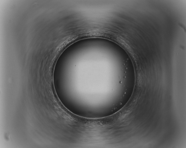 X0000103410673200809191546