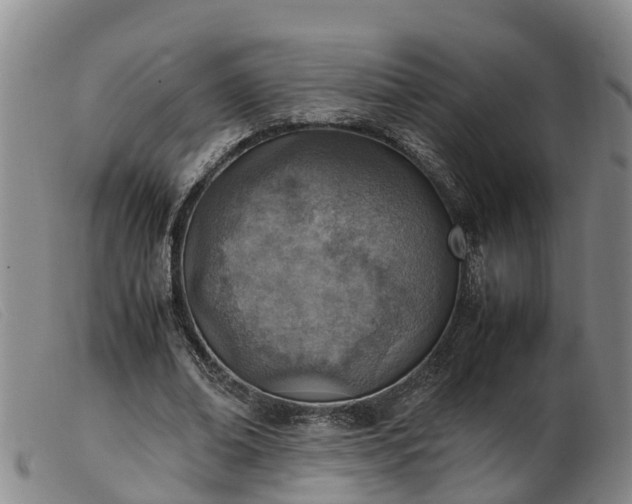 X0000103410678200809191546