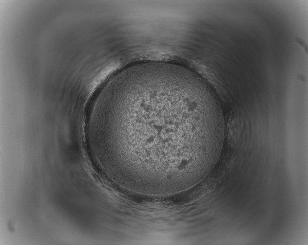 X0000103410679200809191546