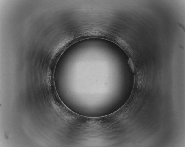 X0000103410680200809191546