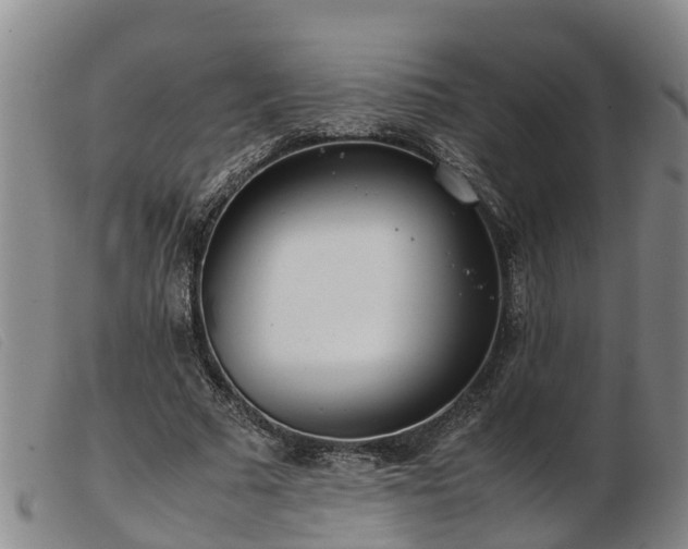 X0000103410681200809191546