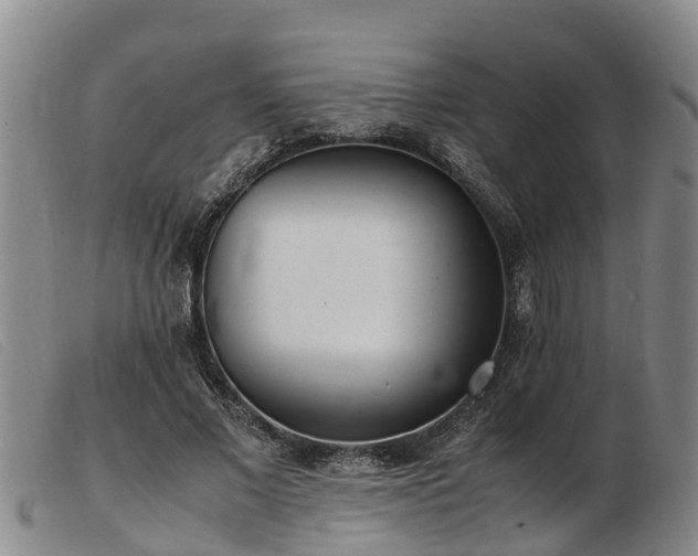 X0000103410685200809191546