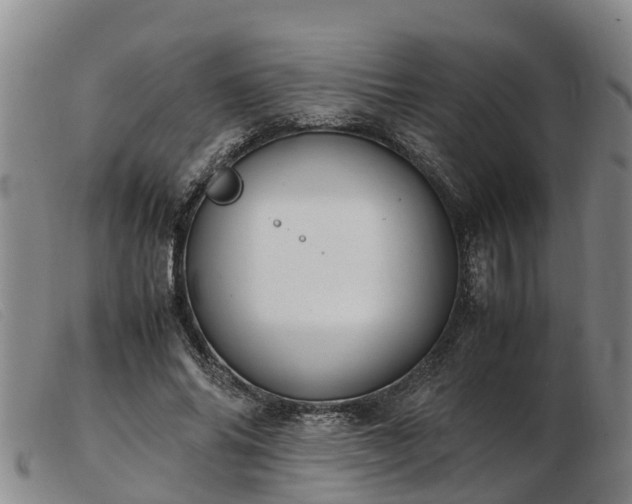 X0000103410686200809191546