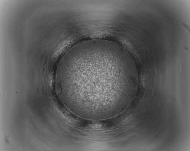 X0000103410687200809191546