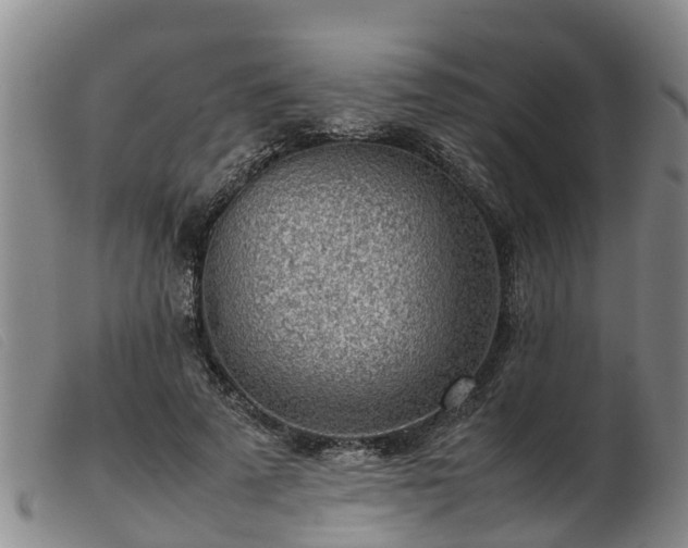 X0000103410689200809191546