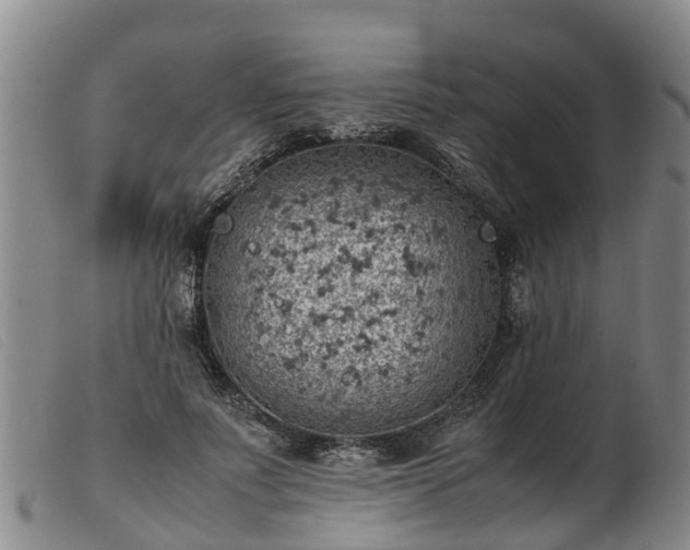 X0000103410691200809191546