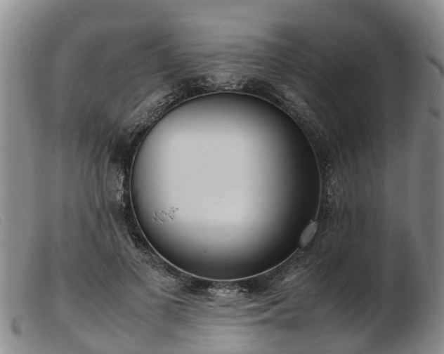 X0000103410693200809191546