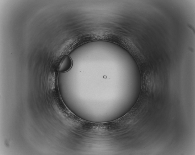 X0000103410694200809191546