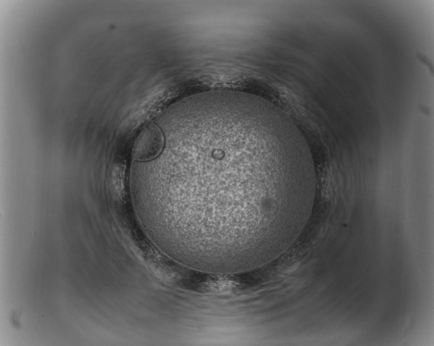 X0000103410695200809191546