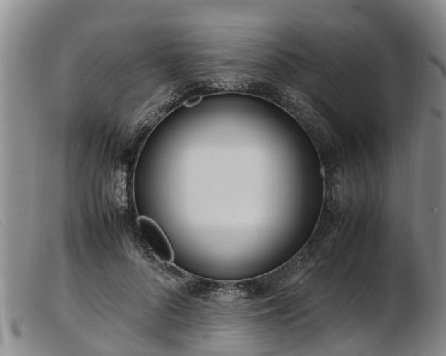 X0000103410696200809191546