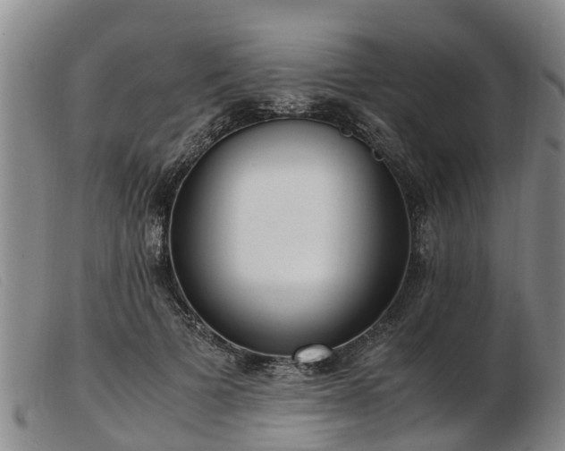 X0000103410697200809191546