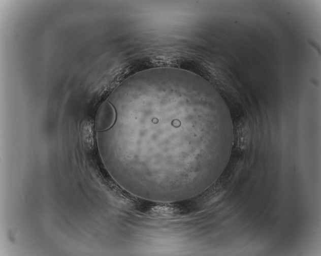 X0000103410699200809191546