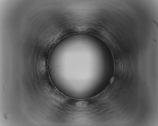 X0000103410700200809191546