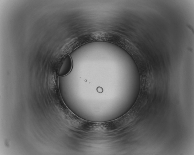 X0000103410702200809191546