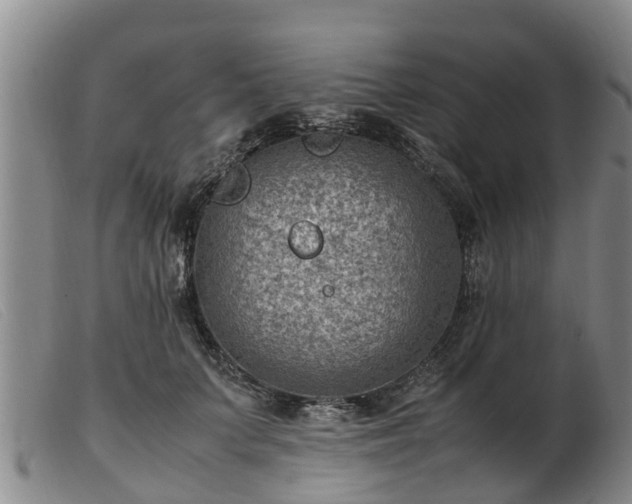 X0000103410703200809191546