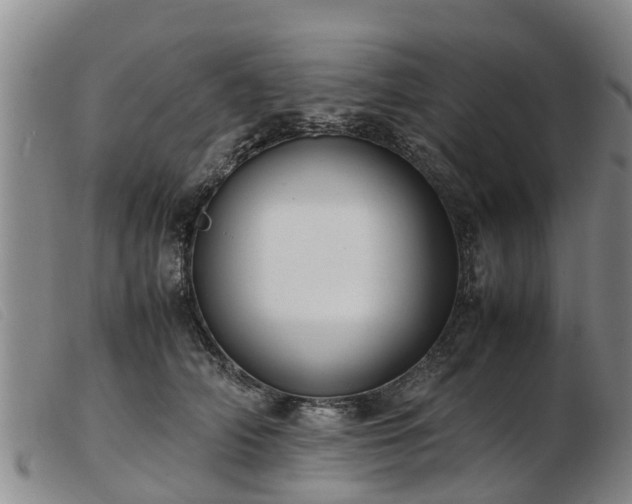 X0000103410706200809191545