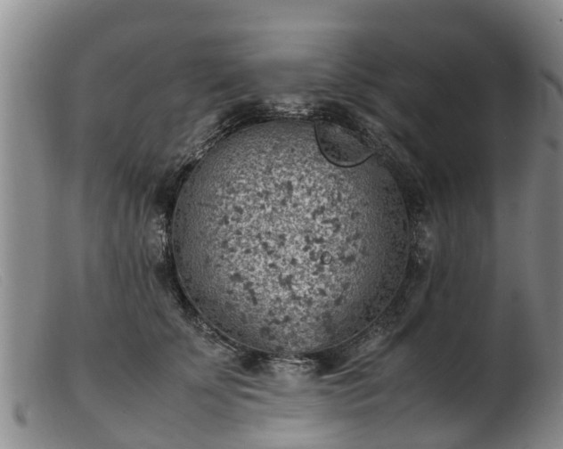 X0000103410707200809191545