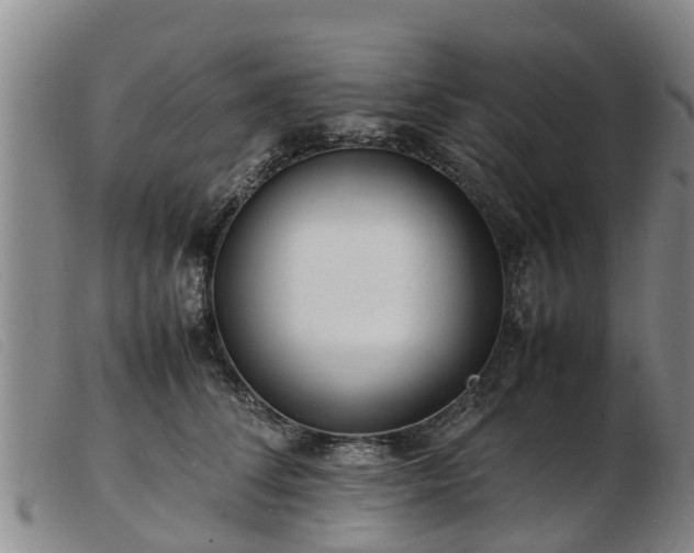 X0000103410708200809191545