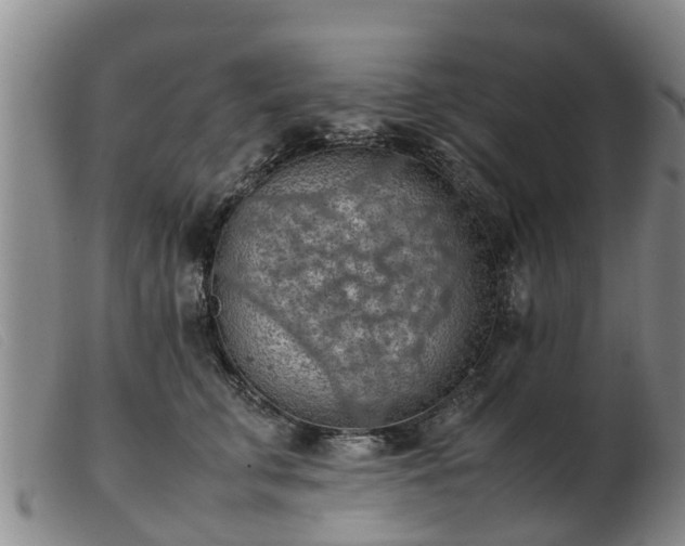 X0000103410711200809191545