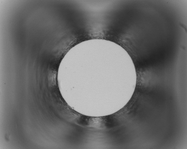 X0000103410717200809191545