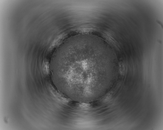 X0000103410718200809191545