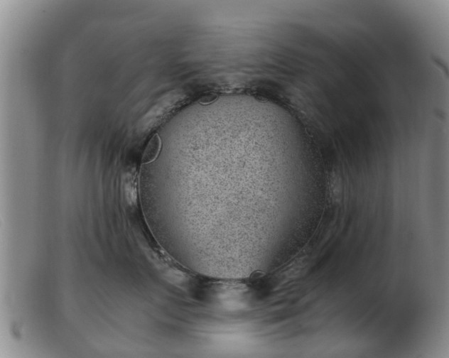 X0000103410719200809191545