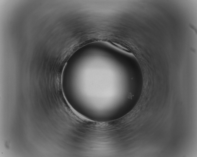 X0000103410720200809191545