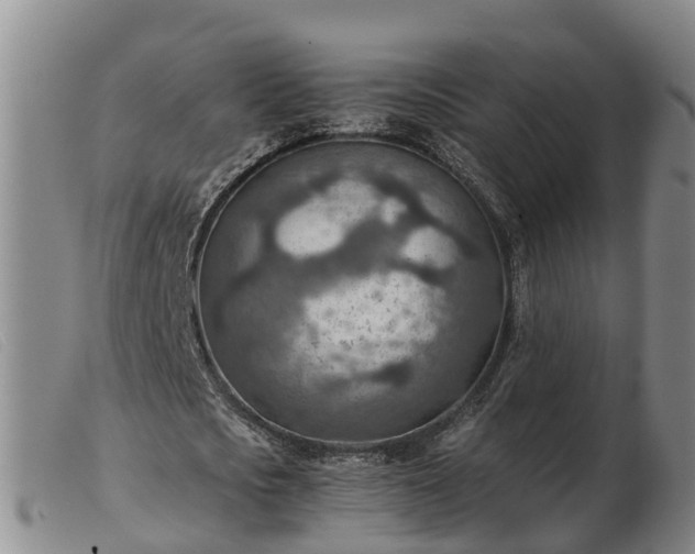 X0000103410721200809191545