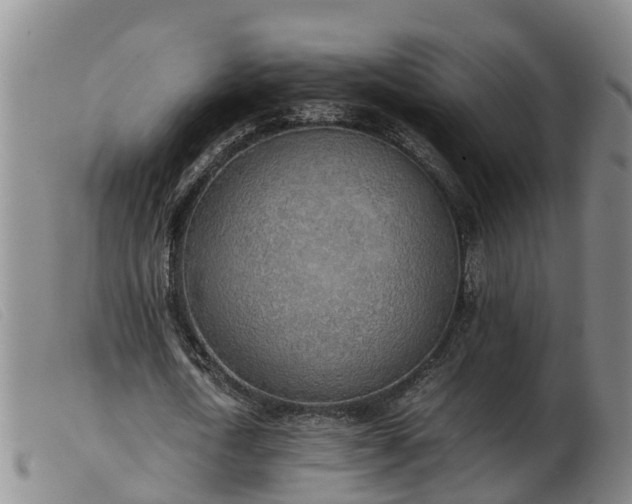 X0000103410722200809191545