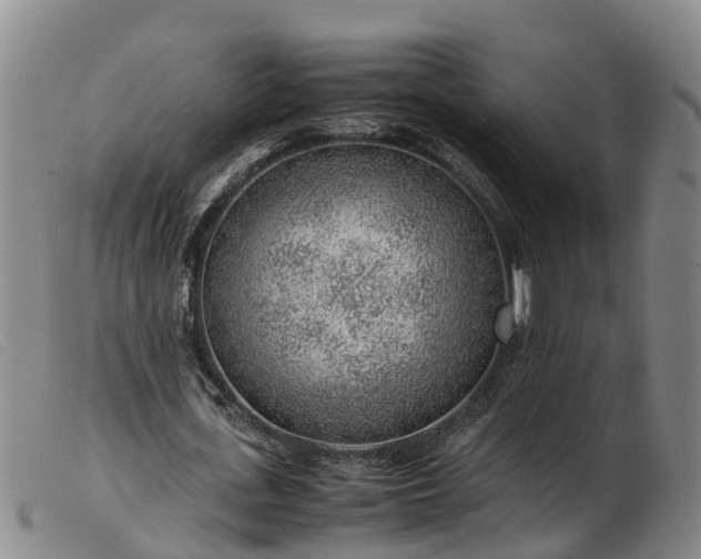 X0000103410723200809191545