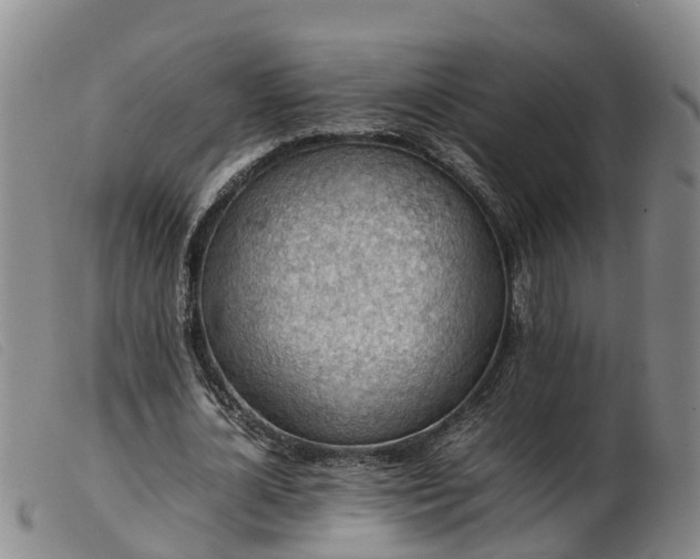 X0000103410724200809191545