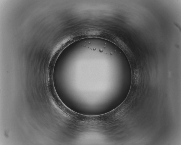 X0000103410726200809191545