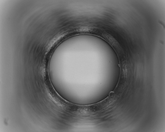 X0000103410728200809191545