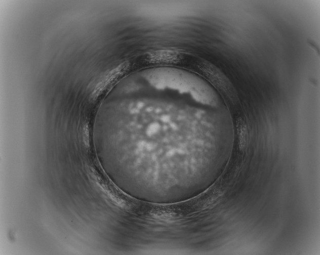 X0000103410729200809191545