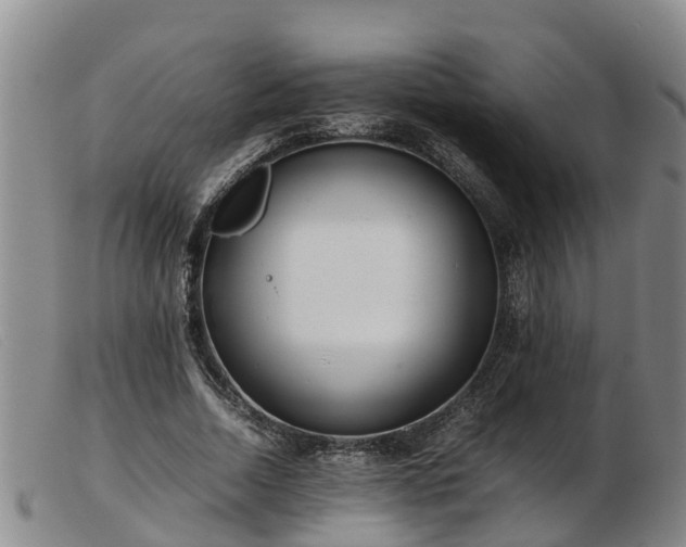 X0000103410730200809191545