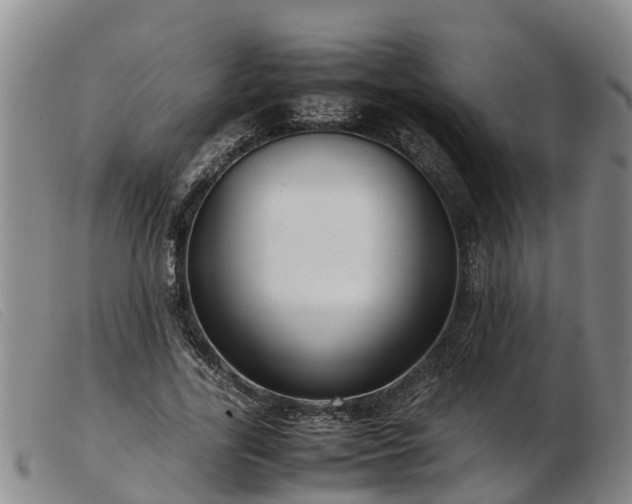 X0000103410731200809191545