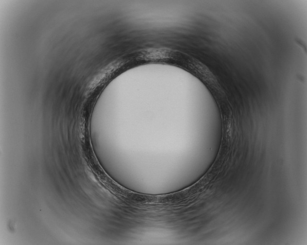 X0000103410732200809191545