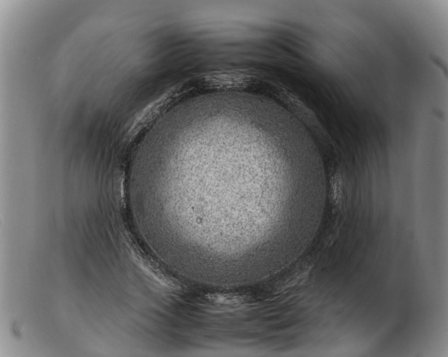 X0000103410733200809191545