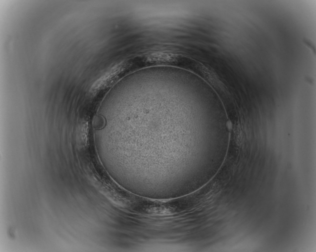 X0000103410735200809191545