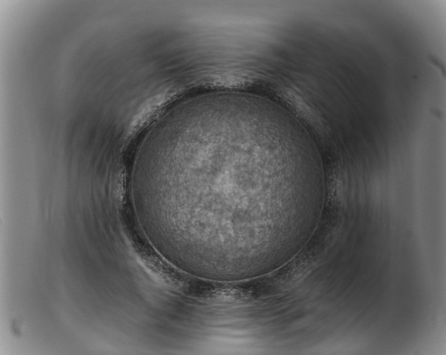 X0000103410736200809191545