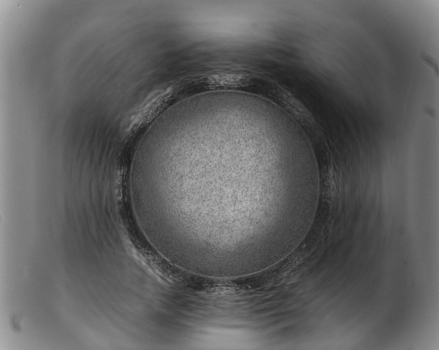 X0000103410738200809191545